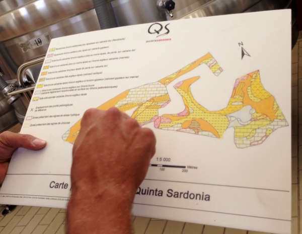Jerôme_Bougnaud_mapa_suelos_Quinta_Sardonia